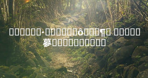 ������·������ô���¶� ������